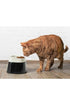 Savic Ergo Cube Cat Food Bowl