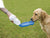 Savic Aqua Boy Dog Water Bottle- Blue - The Pets Club