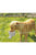 Savic Crock Food Bowl - The Pets Club