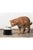 Savic Ergonomic Cube Food Cat Bowl - The Pets Club