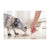 Schesir Cat Pouch Jelly Tuna With Salmon-10X 85g - The Pets Club