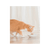 Schesir Pouch Wet Kitten Food Jelly Tuna - 6x85g - The Pets Club