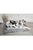 Scruffs Cool Dog Bed - ThePetsClub