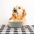 Scruffs Classic Dog Food Bowl - ThePetsClub