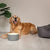 Scruffs Classic Water Dog Bowl-1L - ThePetsClub