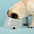 Scruffs Icon Flat Faced Dog Bowl - ThePetsClub