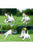 SKIPDAWG Dog Ball Pack of 2 - ThePetsClub