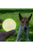 SKIPDAWG Neon Glow Dog Ball - ThePetsClub