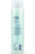 SPA BY TROPICLEAN LAVISH FRESH SHAMPOO FOR PETS 16OZ - ThePetsClub