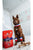Stella & Chewy's Absolutely Rabbit Dinner Patties for Dog – 14oz - The Pets Club