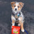 Stella & Chewy's Carnivore Crunch Dog Treat -3.25oz - The Pets Club