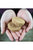 Stella & Chewy's Dandy Lamb Dinner Patties for Dog - 14oz - The Pets Club