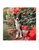 Stella & Chewy's Immune Boost Grass Fed Lamb Recipe Dog Food -13oz - The Pets Club