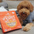 Stella & Chewy's Lil Bites Itty Bitty Beef Recipe Dog Food – 7 Oz - The Pets Club