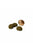 Symply Adult Large Breed Chicken Dry Dog Food 12KG - ThePetsClub
