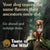 Taste Of the Wild Sierra Mountain Canine Formula Lamb in Gravy - 3x390g - The Pets Club