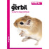 The Gerbil - Good Pet Guide