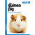 The Guinea Pig - Good Pet Guide - ThePetsClub