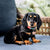 The Hillman ID Tag - Rose Gold Plated Brass Heart with Crystal - The Pets Club