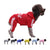 ThePetsClub Cotton Jumpsuit Warm Sweat Shirt For Pets - ThePetsClub