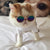 ThePetsClub Fashion Pet Goggles Multicolor For Cats, Dogs or Other Small animals - ThePetsClub