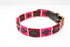 The Pets Club Premium Designer Leather Dog Collar