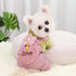 The Pets Club Teddy Small Dog Winter Clothing