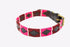 The Pets Club Premium Designer Leather Dog Collar