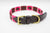 The Pets Club Premium Designer Leather Dog Collar - The Pets Club