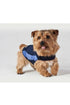 Thundershirt Dog Blue Calimg Jacket