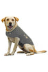 Thundershirt Dog Grey Calimg Jacket