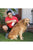 Vetericyn FoamCare Pet Shampoo – Thick Coats - ThePetsClub
