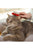 Vet’s Best Waterless Cat Bath 4oz - ThePetsClub