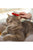 Vet’s Best Waterless Cat Bath - 4oz - The Pets Club