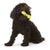 Westpaw Design Hurley Dog Bone - The Pets Club