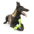 Westpaw Design Skamp with Zogoflex Echo - The Pets Club