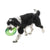 Westpaw Sailz Seaflex Frisbee Disc Dog Toy - The Pets Club