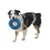 Westpaw Sailz Seaflex Frisbee Disc Dog Toy - The Pets Club