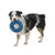 Westpaw Sailz Seaflex Frisbee Disc Dog Toy - The Pets Club