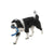 Westpaw Snorkl Seaflex Dog Toy - The Pets Club