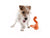 Westpaw Tizzi Dog Toy - The Pets Club