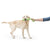 Westpaw Zwig Dog Toy - The Pets Club