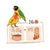 Witte Molen Puur Lovebird -2Kg - ThePetsClub