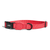 Zee Dog Neon Coral Collar for Dog - ThePetsClub