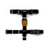 Zee Dog Patagonia H-Harness for Dog