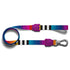 Zee Dog Prisma Leash for Dog