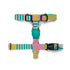 Zee Dog Salina H-Harness for Dog