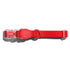 Zee Dog Neopro Coral Collar for Dog