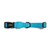 Zee.Dog Ultimate Blue Dog Collar - The Pets Club