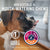 Ziwipeak Oral Health Air-Dried Dog Chews Beef Weasand - 72g - The Pets Club